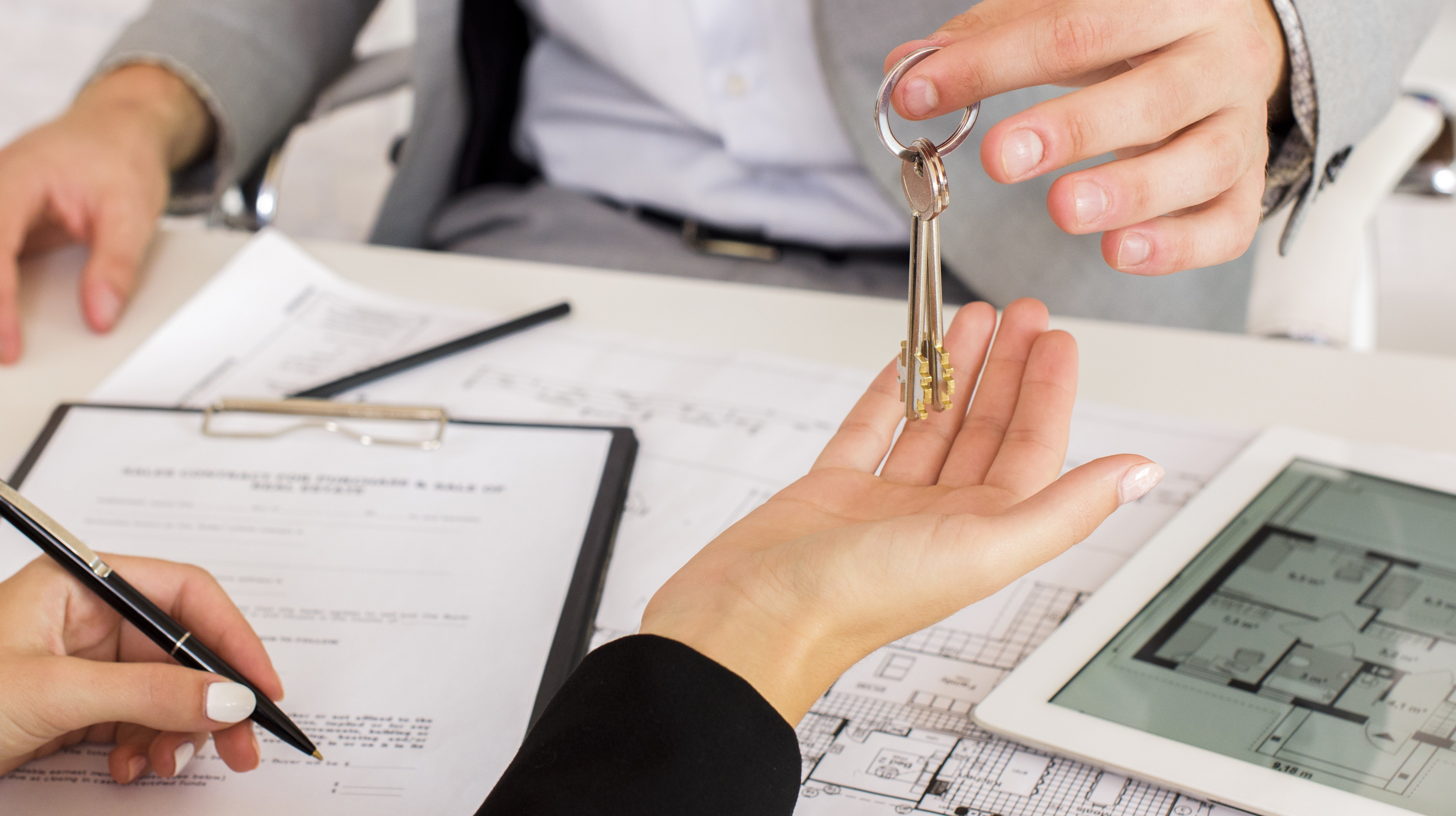 Maringá começa o ano com mercado de locação mais movimentado, analisa Secovi