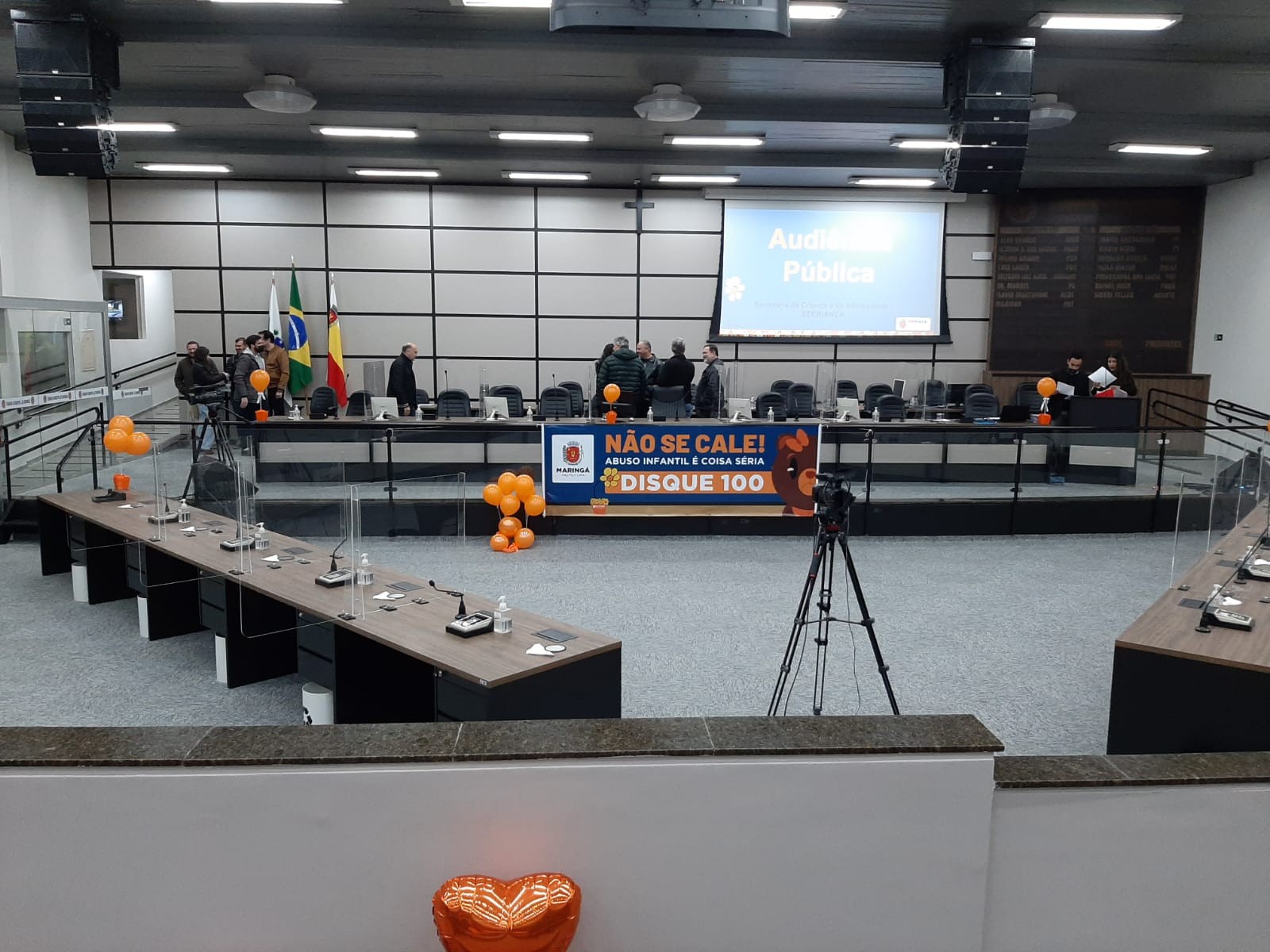 Audiência pública debate medidas para o enfrentamento da violência sexual de crianças e adolescentes