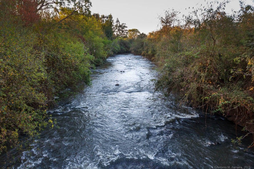 Cocamar investe na preservação de nascentes