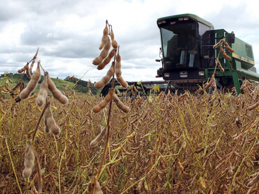 Soja custa R$ 72,50 a saca em Maringá