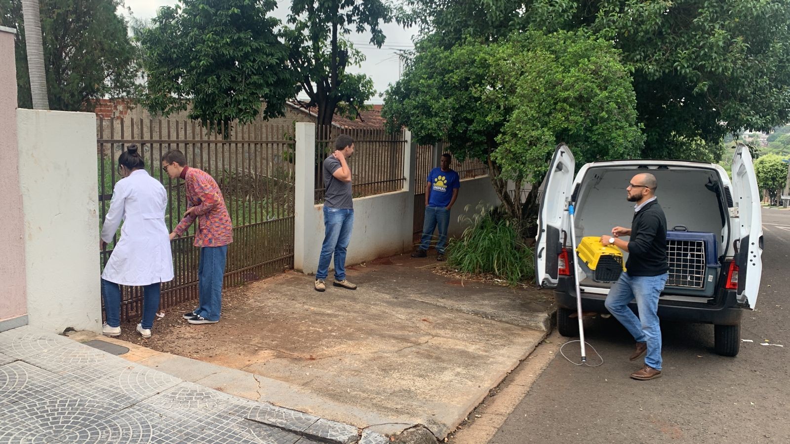 Dois cães em situação de abandono e maus-tratos são resgatados