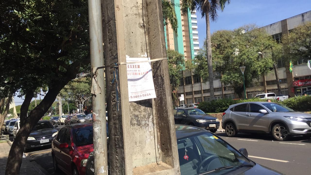 Vereador pede fiscalização para coibir panfletos e cartazes em postes e árvores de Maringá