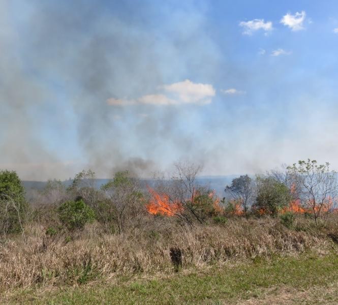 Bombeiros registram 267 incêndios ambientais este ano