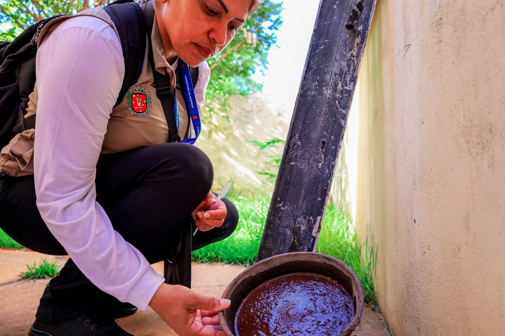 Maringá registra 452 casos de dengue e primeira morte do ano