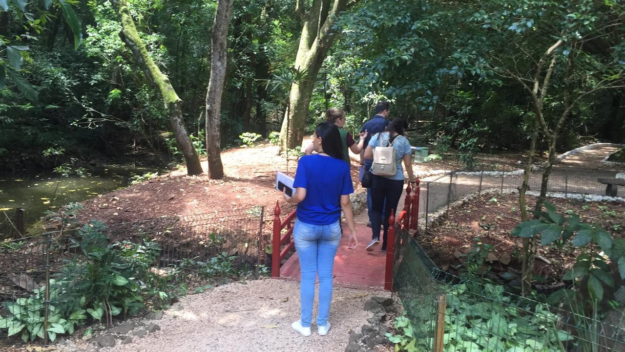Professores fazem vistoria técnica no Parque do Ingá