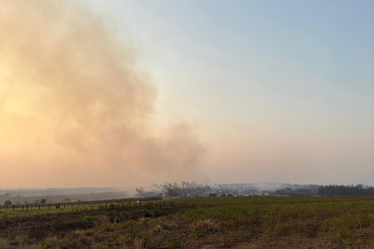 Incêndio no Cinturão Verde fecha UBS e suspende aulas em Cianorte