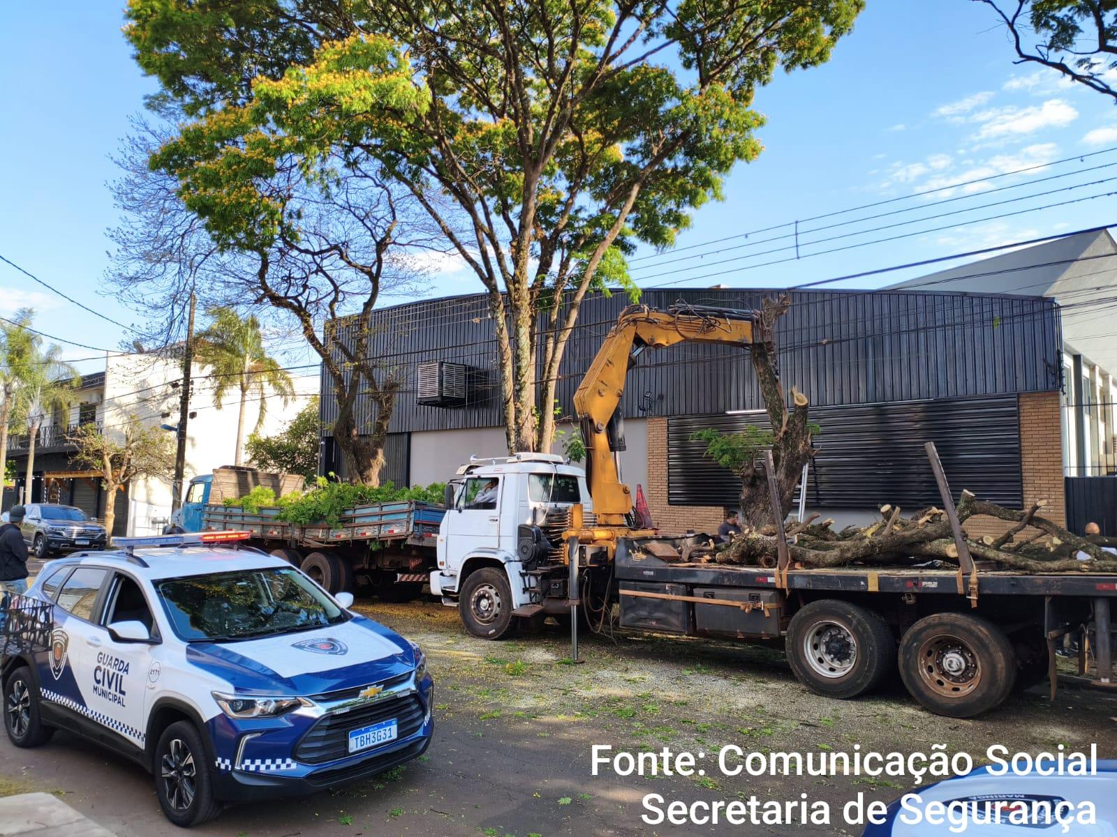Guarda Municipal prende homens por crime ambiental e recupera placas de bronze
