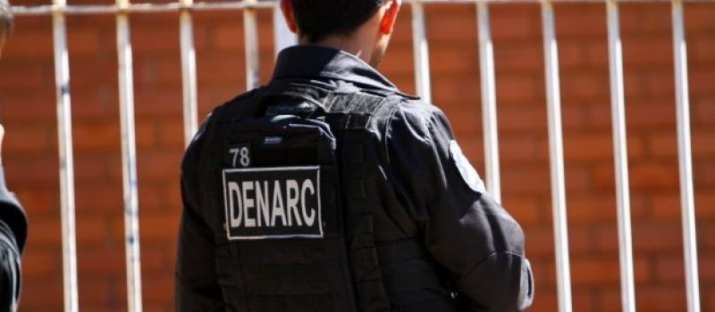 Denarc apreendeu mais drogas no primeiro semestre deste ano