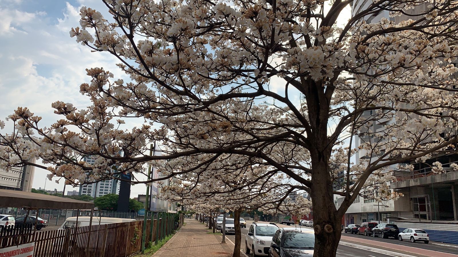 Semana começa com calor intenso e tempo seco em Maringá, indica previsão