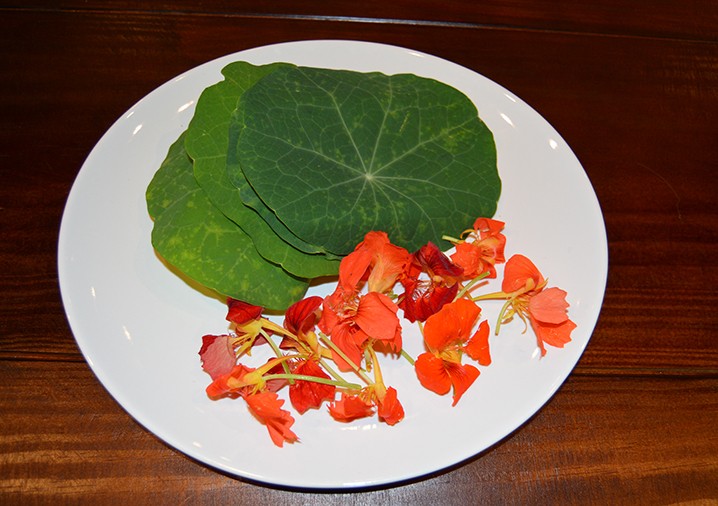 Culinária paraense usa plantas comestíveis com alto valor nutritivo