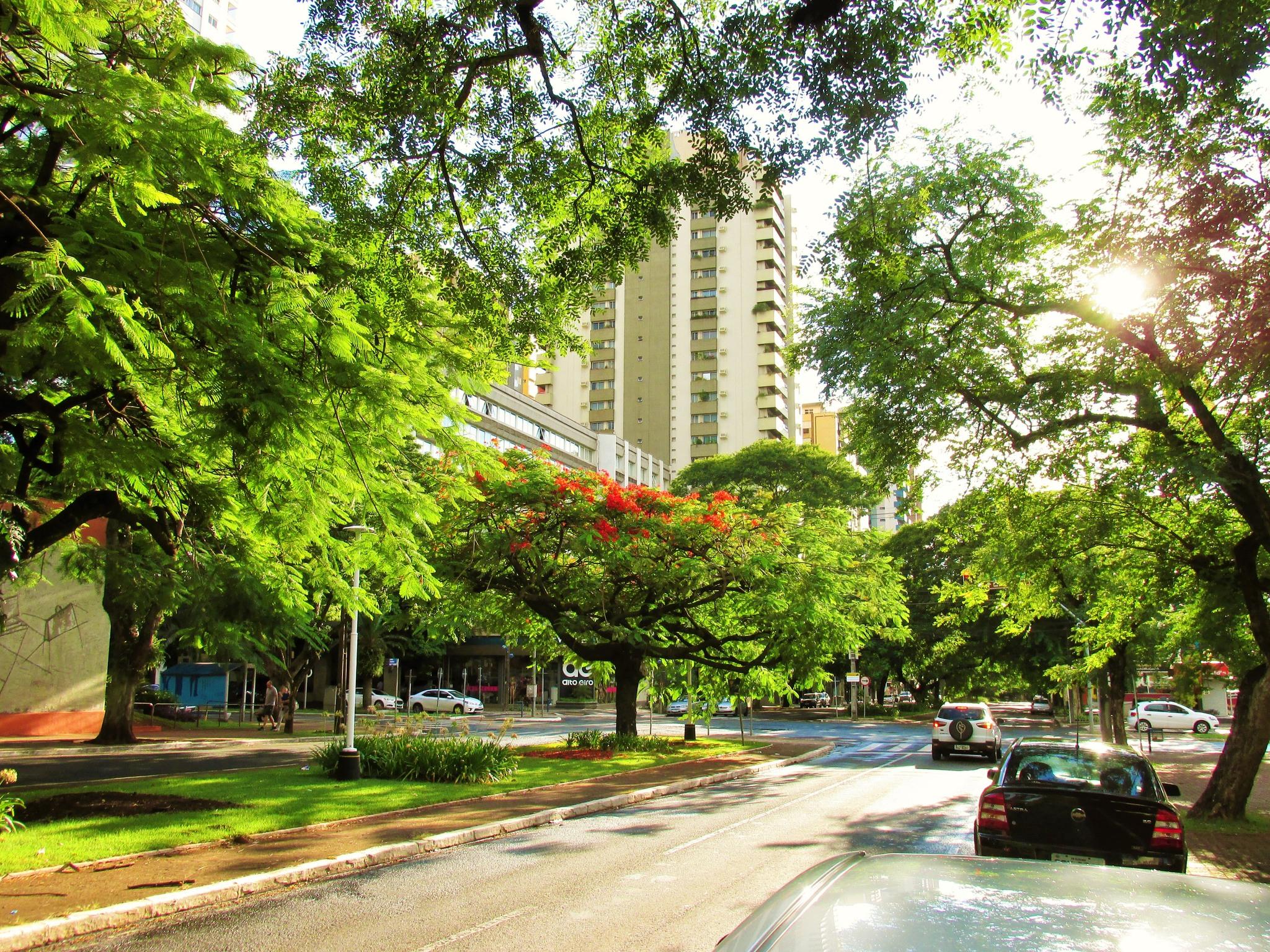 Veja a previsão do tempo para esta sexta-feira (21) e o fim de semana