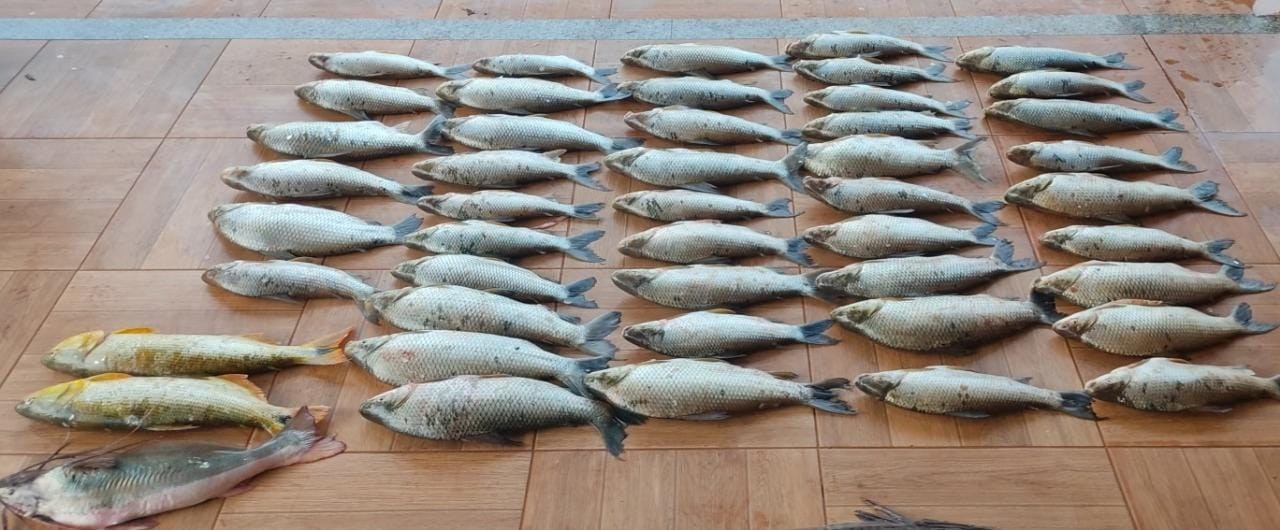 Homem é preso por pesca ilegal de mais de 160 quilos de peixe