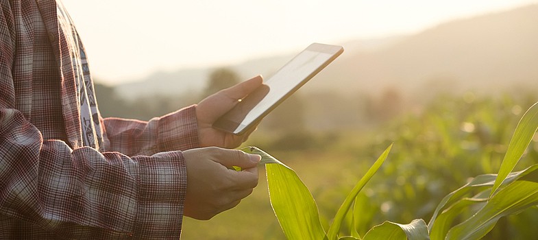 Agronegócio do Brasil  exportará US$ 1 trilhão em dez anos