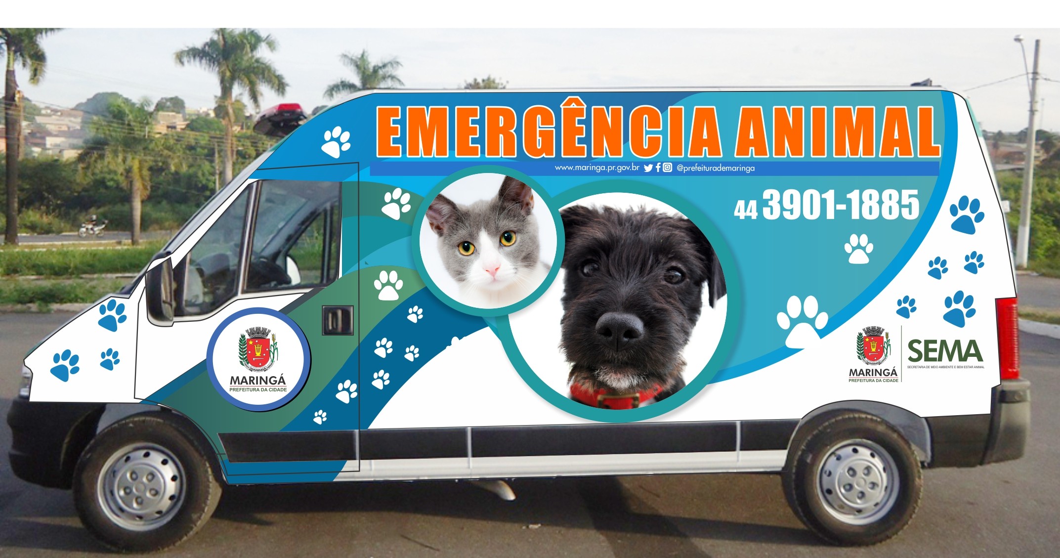 Novo serviço da Secretaria de Meio Ambiente e Bem-Estar Animal começa a funcionar