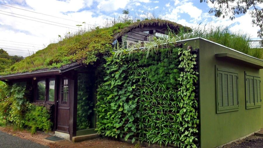 Você sabe o que é design biofílico?