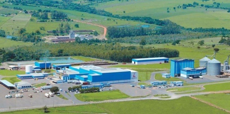 Covid-19: Abatedouro de aves de Cianorte afasta 800 trabalhadores