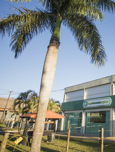 Agronegócio é tecnológico e exige qualificação