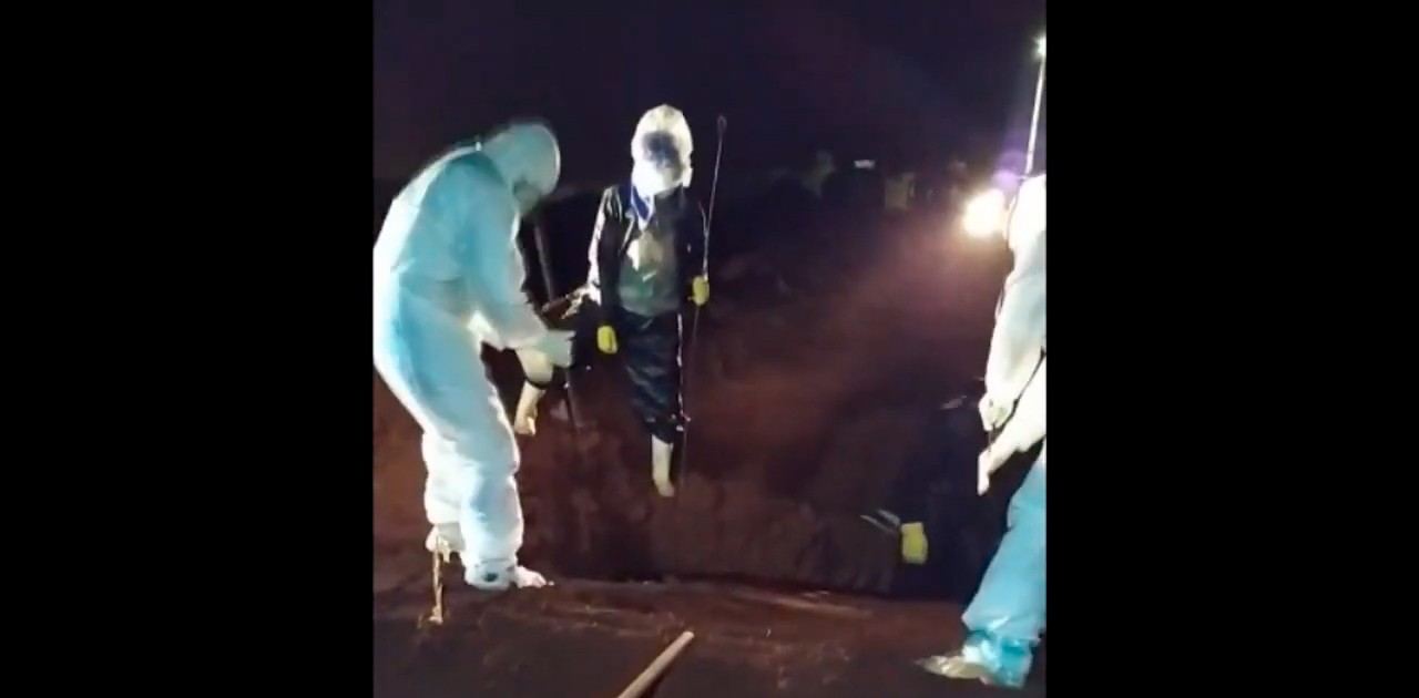 Coveiros usam sacola e capa de chuva contra a covid-19 em Sarandi