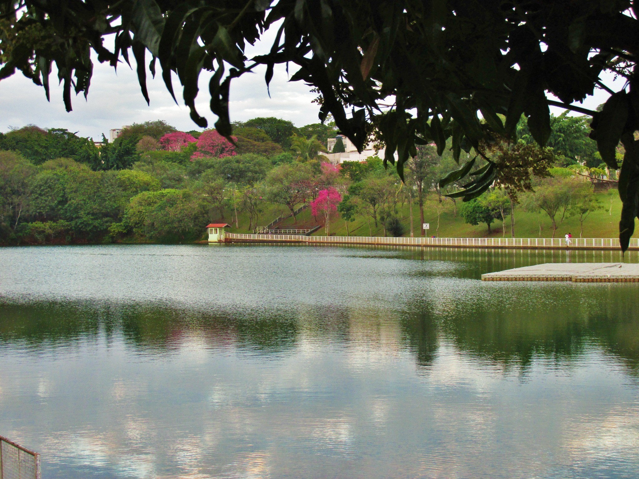 Confira a previsão do tempo para Maringá nesta sexta-feira (11)
