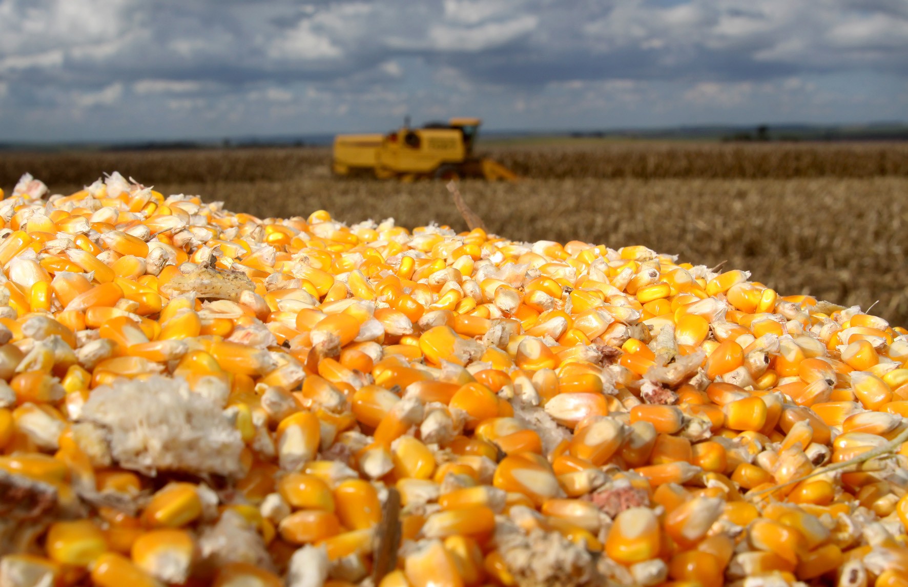 Pouca alteração no mercado agrícola