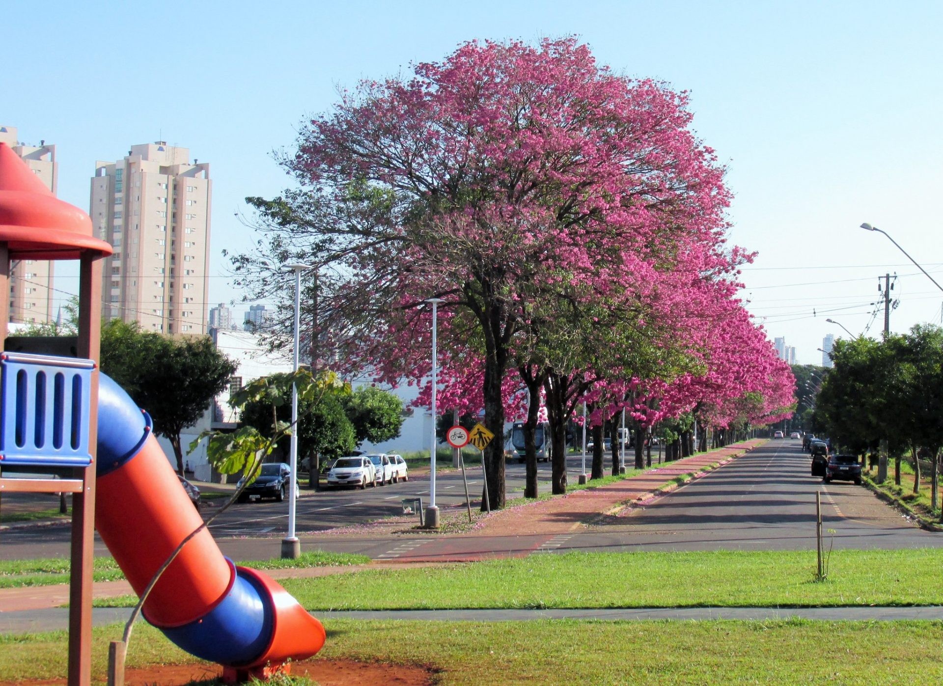 Semana começa com tempo estável e altas temperaturas em Maringá