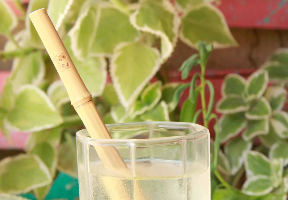 Canudos de bambu são fabricados por família em Maringá