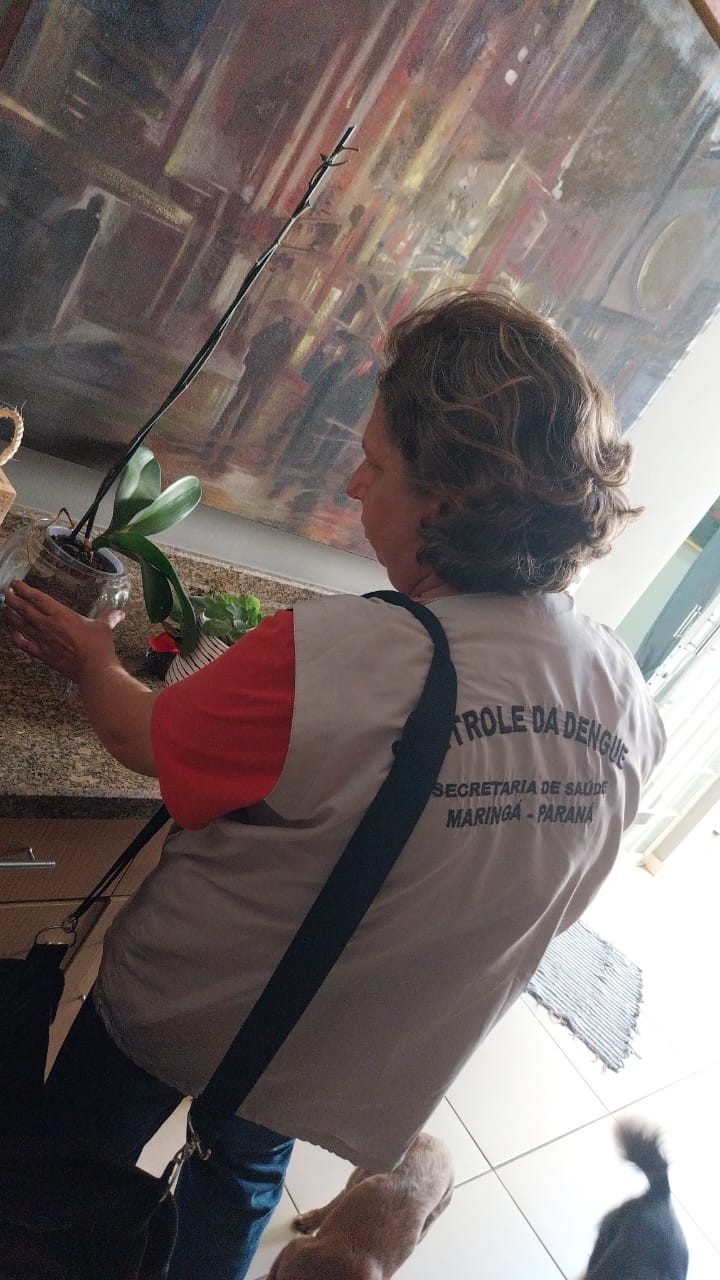 Com mais de 3.500 casos confirmados, Maringá participa do Dia D de Combate à dengue