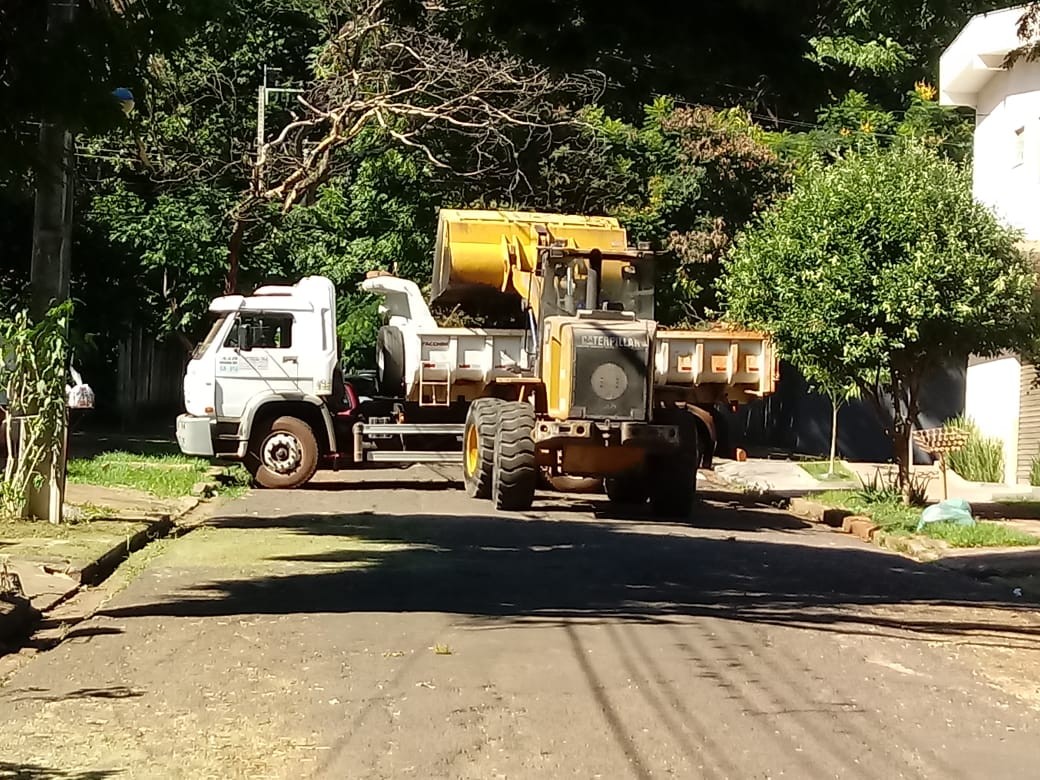 Cerca de 1,5 mil toneladas de troncos e galhos foram recolhidos após o temporal em Maringá