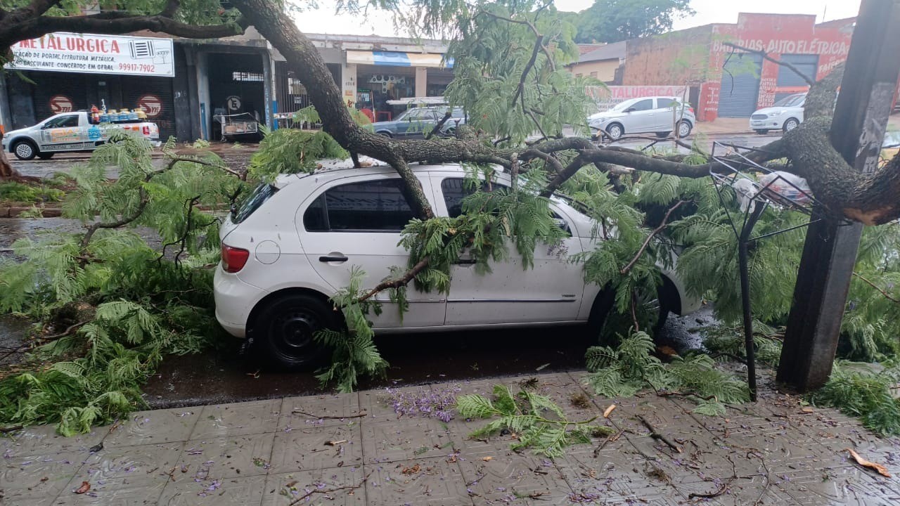 Chuva derruba árvores e provoca alagamentos em Maringá