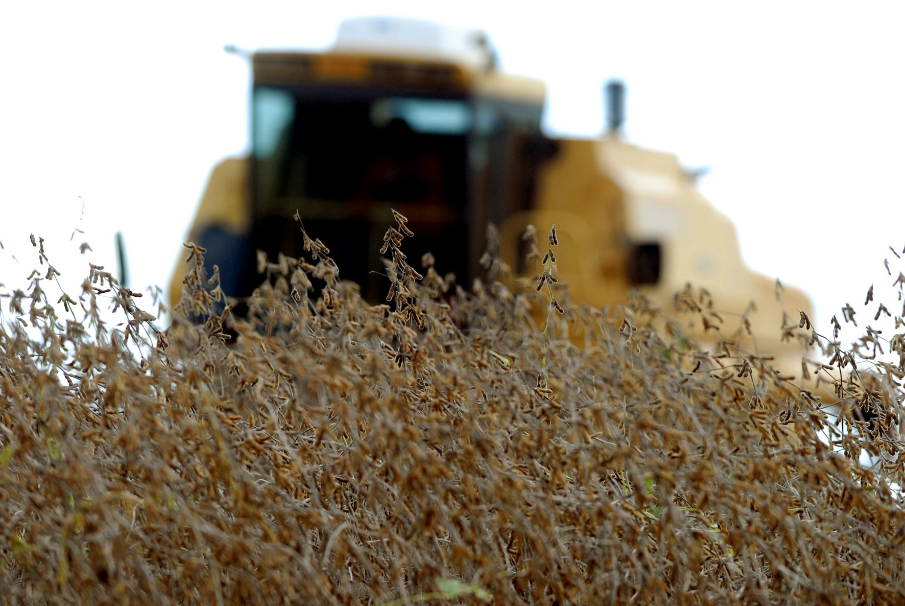 Saca da soja custa R$ 80,50 em Maringá