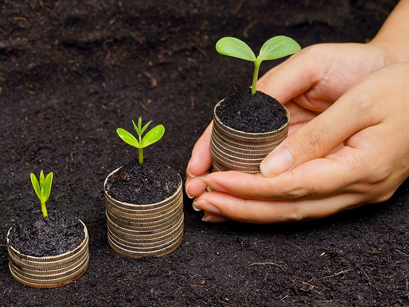 Como usar a tributação para promover a economia verde?