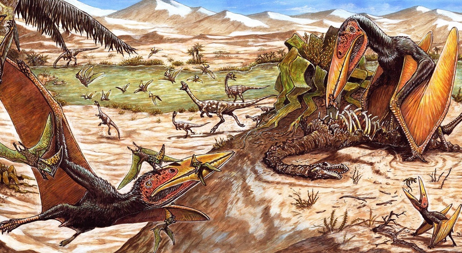 Mais um pterossauro é descoberto em Cruzeiro do Oeste