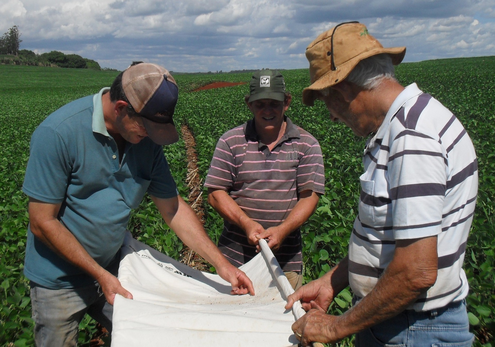 Produtor aguarda melhora nos preços para comercialização