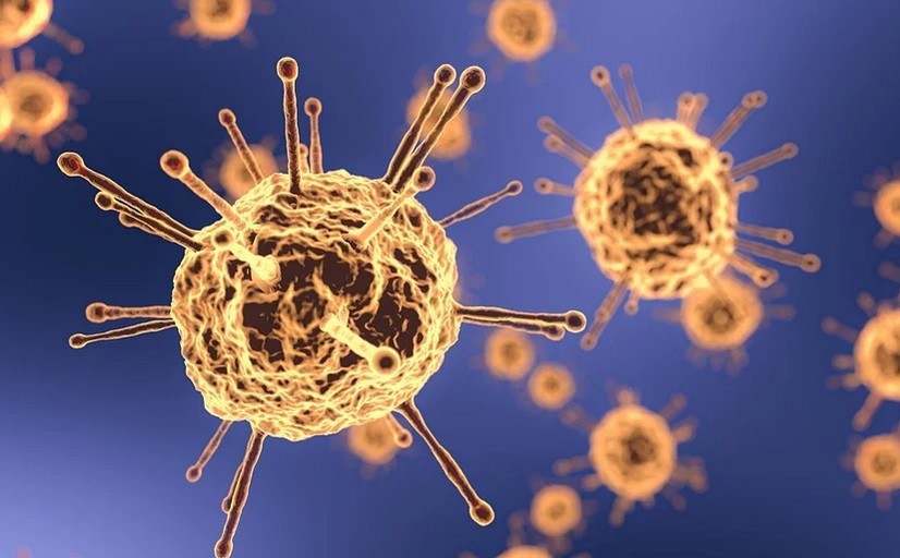 Covid-19: veja os dados do boletim desta segunda-feira (18), em Maringá