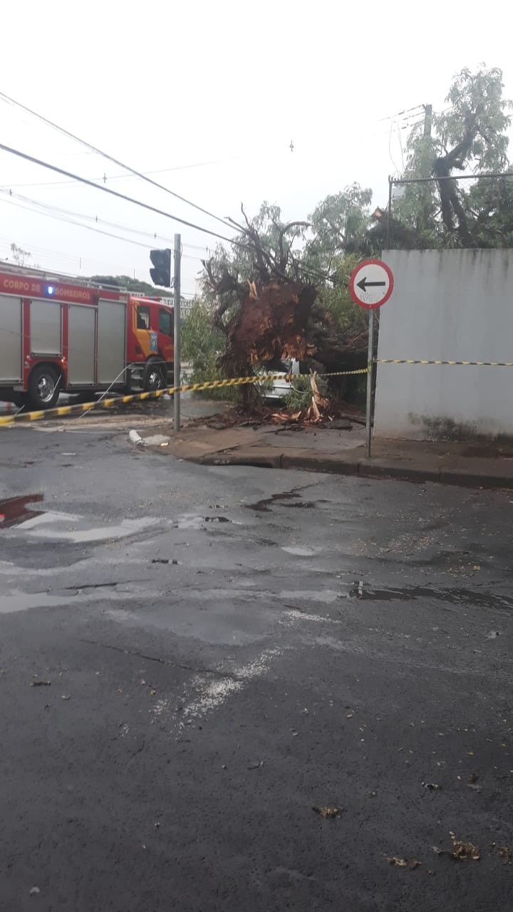 Rajadas de vento chegaram a 72 km/h em Maringá