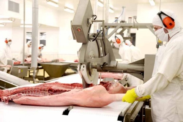 Paraná poderá dobrar as exportações de carne suína