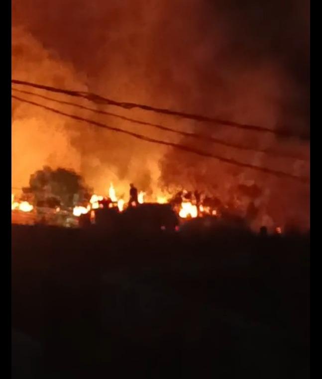 Defesa Civil pede ajuda da população para identificar autores de incêndios ambientais