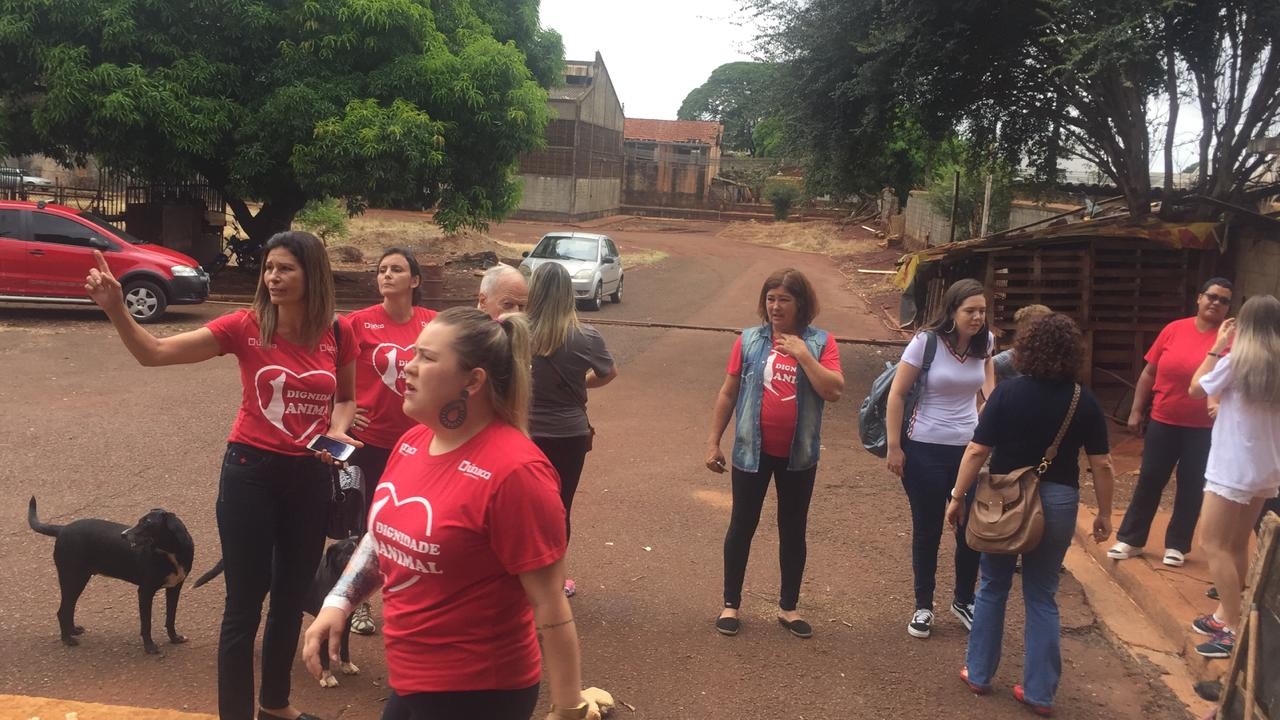 ONG protesta e vereadores pedem ajuda ao MP