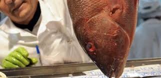 Procon alerta consumidores sobre “falso” bacalhau