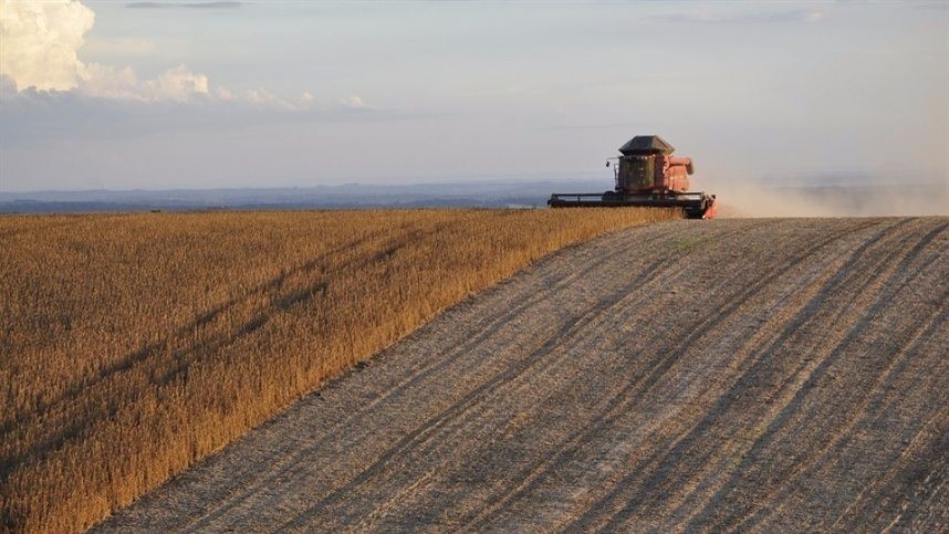 VBP da agropecuária deverá crescer 9,8% em 2020 em relação a 2019