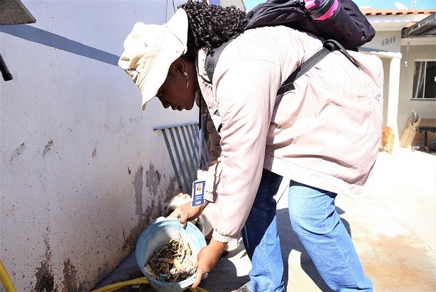 Região com um dos maiores índices de dengue terá mutirão nesse sábado (27) em Maringá