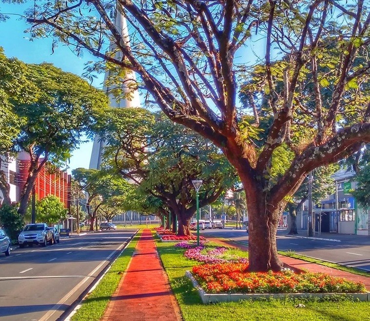 Plano de Mobilidade de Maringá está com consulta aberta