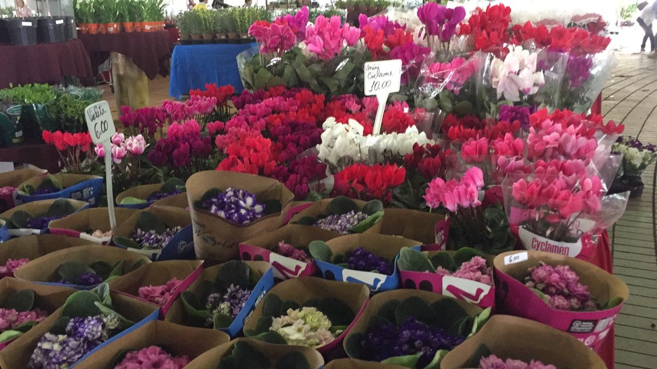 Vaso poroso que não derrama água é uma novidade da feira
