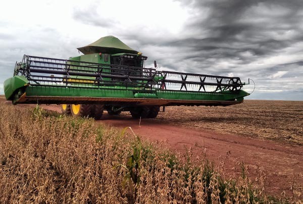 Chuvas dificultam colheitas de grãos
