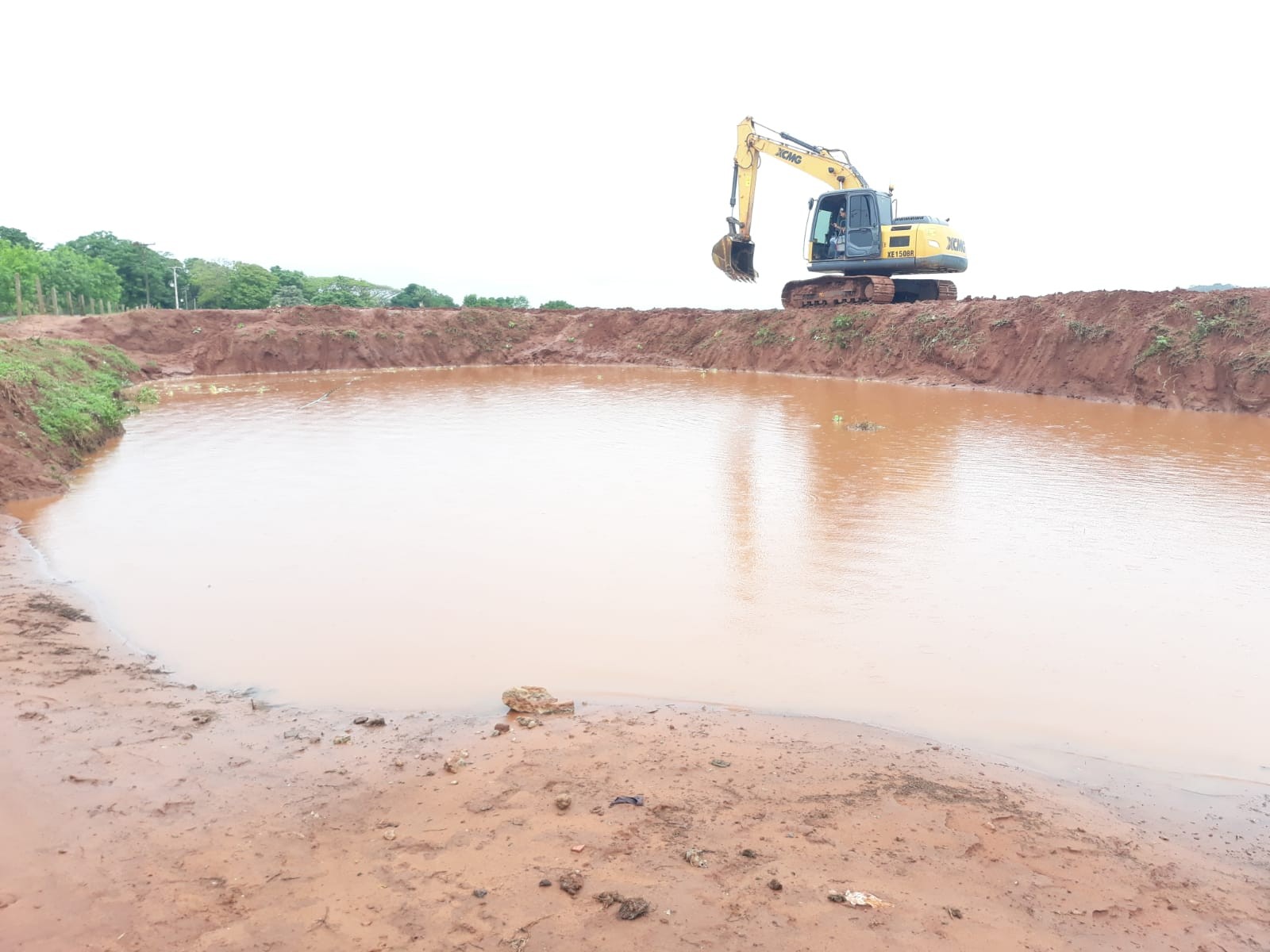 Vegetação flutuante foi retirada de caixa de contenção de água em Paranavaí para retirada de jacaré