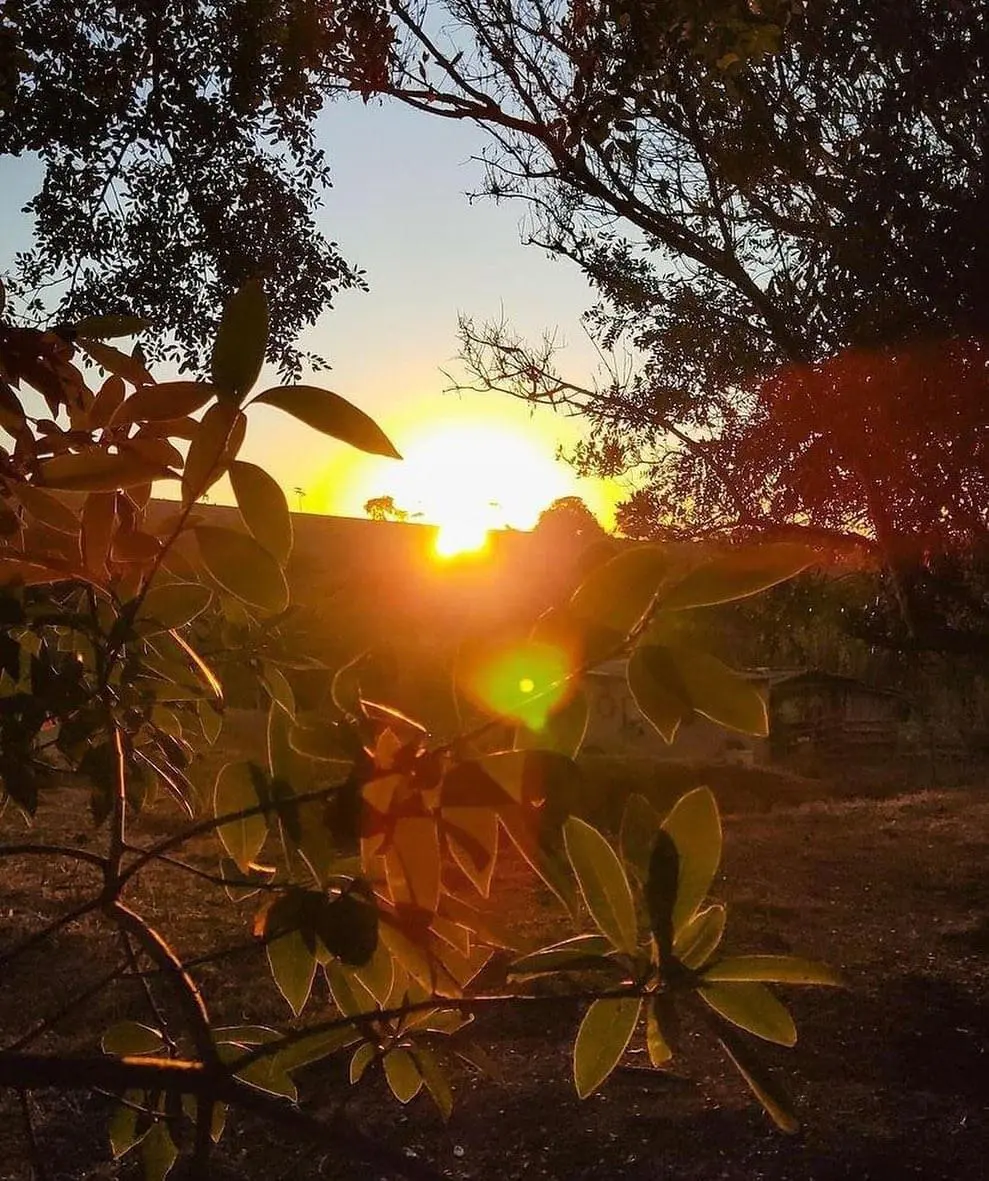 Quinta-feira registra mínima de 1,4°C, com sensação térmica de 0°C, em Maringá