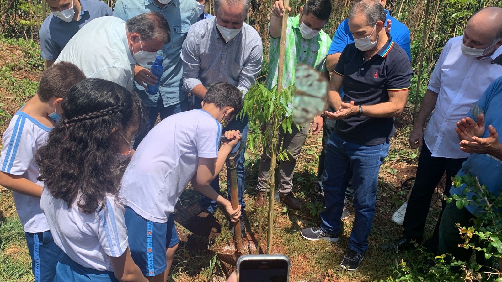 Mais de mil mudas serão plantadas no Parque das Palmeiras