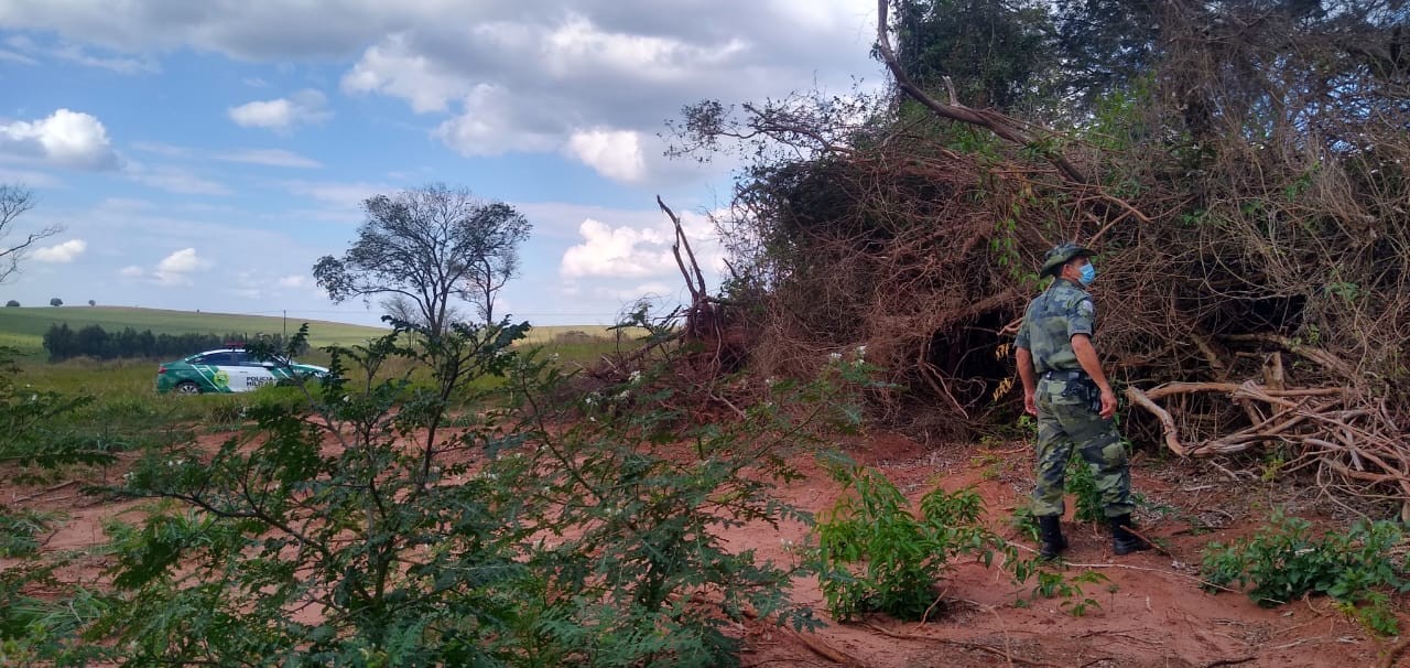 Operação combate desmatamento e apreende objetos de caça a animais silvestres