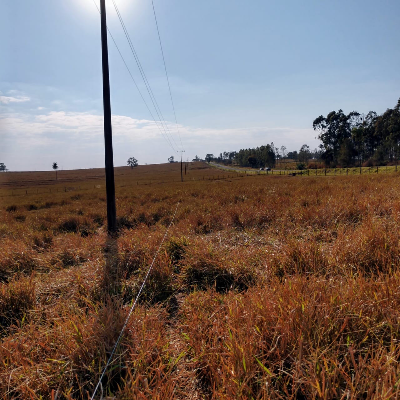 Estiagem de agosto baixa nível dos rios e aumenta risco de queimadas
