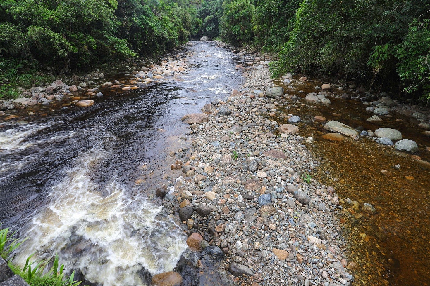 Mãe e filha são resgatadas ilhadas após cabeça d’água, em Morretes
